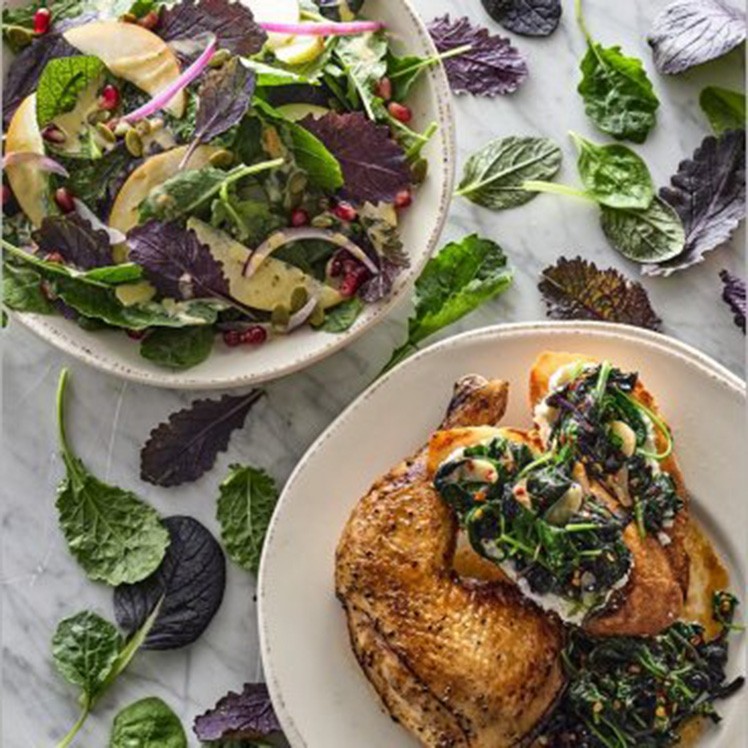 2-Baby-Purple-Mustard-Greens-Salad