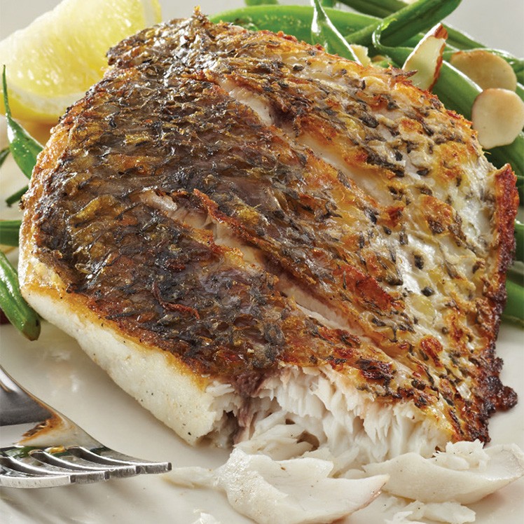 Barramundi