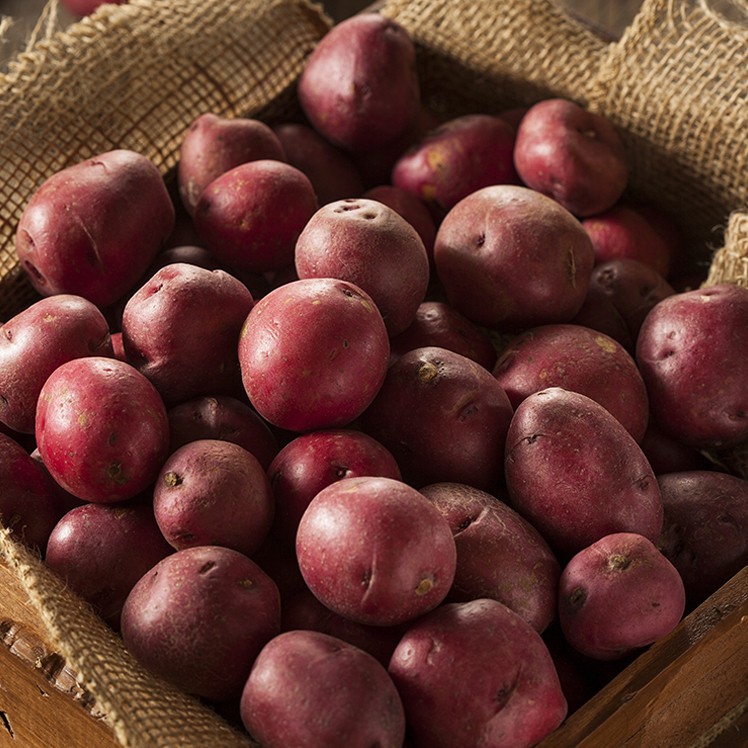 Fresh Red Potatoes, Size A